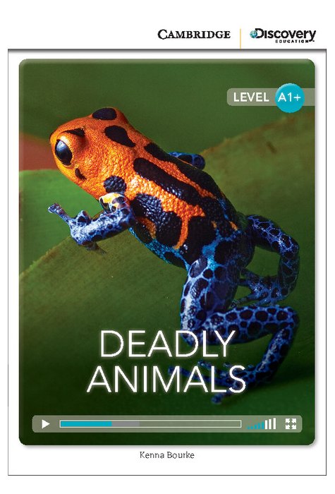 Deadly Animals High, Beginning Deadly Animals High, Beginning