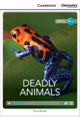 Deadly Animals High, Beginning