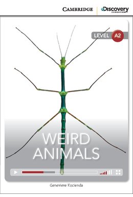 Weird Animals, Low Intermediate