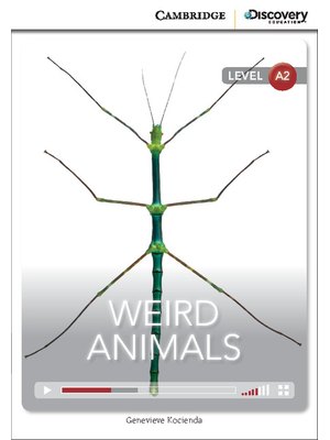 Weird Animals, Low Intermediate