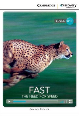 Fast: The Need for Speed, High Beginning