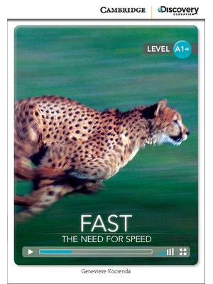 Fast: The Need for Speed, High Beginning