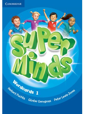 Super Minds Level 1 Wordcards (Pack of 81)