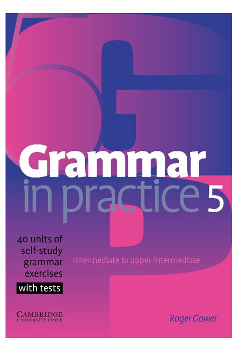 Grammar in Practice 5