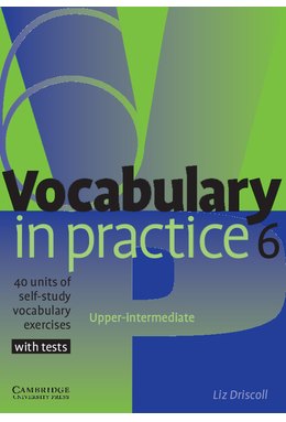 Vocabulary in Practice 6