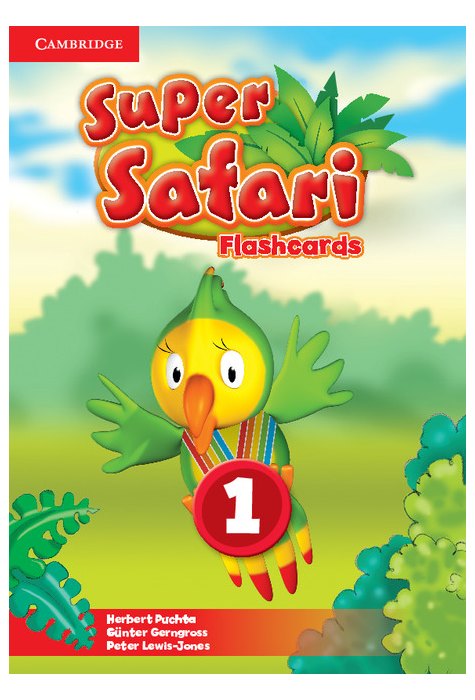 Super Safari Level 1, Flashcards (Pack of 40)