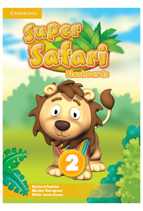 Super Safari Level 2, Flashcards (Pack of 71)