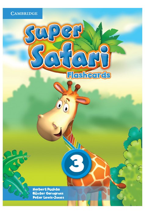 Super Safari Level 3, Flashcards (Pack of 78)