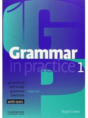 Grammar in Practice 1