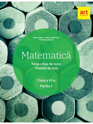 Matematică. Clasa a VI-a. Semestrul 1.