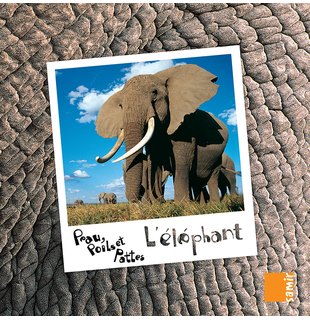 L'éléphant