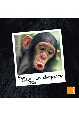 Le chimpanzé