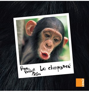 Le chimpanzé