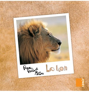 Le lion