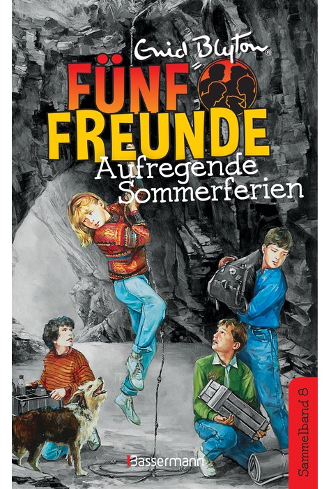 Fünf Freunde - Aufregende Sommerferien