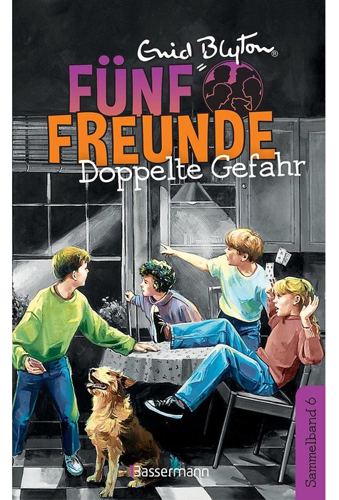 Fünf Freunde - Doppelte Gefahr