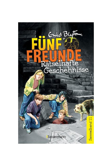 Fünf Freunde - Rätselhafte Geschehnisse