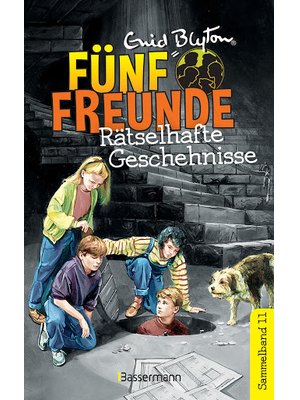 Fünf Freunde - Rätselhafte Geschehnisse