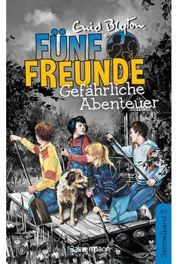 Fünf Freunde-Gefährliche Abenteuer