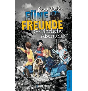 Fünf Freunde-Gefährliche Abenteuer