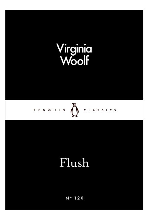 Flush Flush