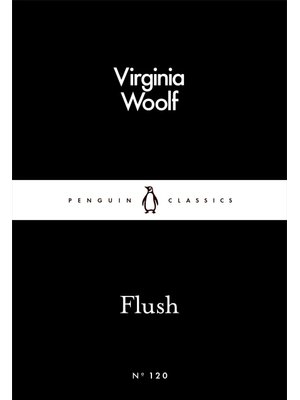 Flush Flush