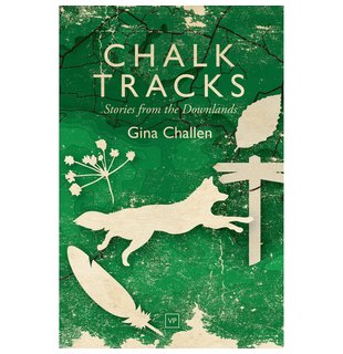 Chalk Tracks : Stories from the Downlands