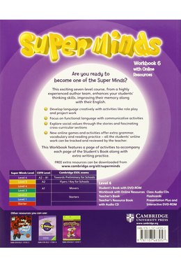 Super Minds Level 6, Workbook with Online Resources