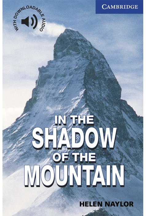 In the Shadow of the Mountain Level 5