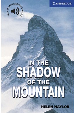 In the Shadow of the Mountain Level 5