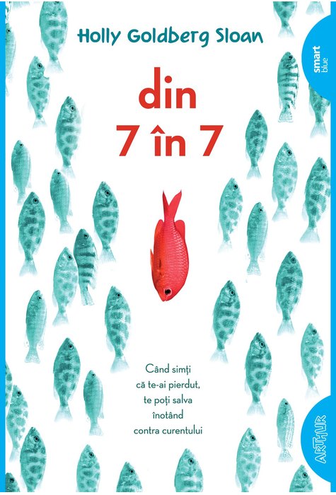 Din 7 în 7 | paperback