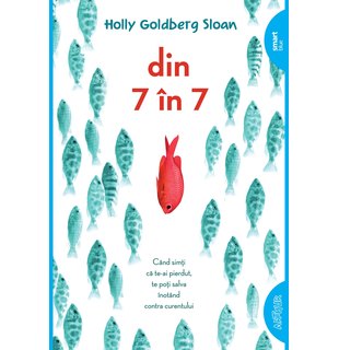 Din 7 în 7 | paperback