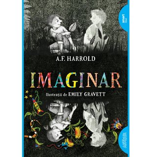 Imaginar | paperback