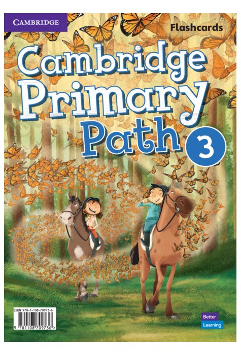 Primary Path Level 3, Flashcards