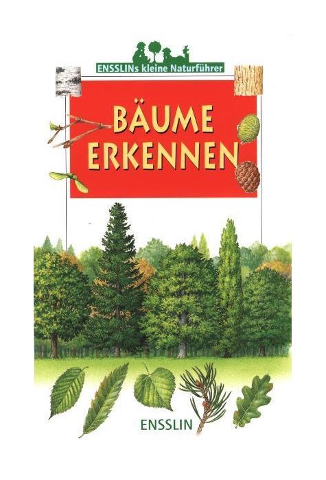 Bäume erkennen