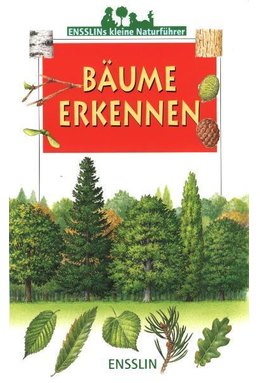 Bäume erkennen