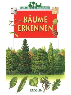 Bäume erkennen