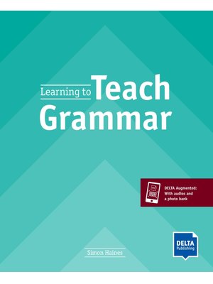 Learning to Teach Grammar