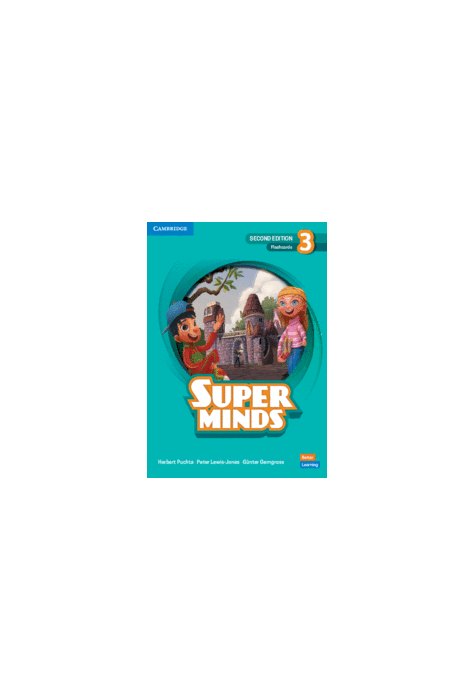 Super Minds 2ed Level 3 Flashcards British English