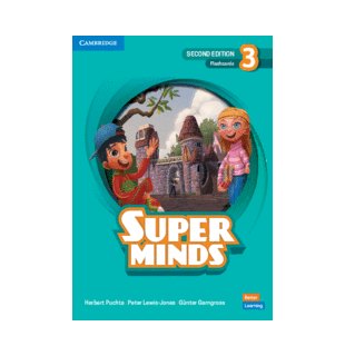 Super Minds 2ed Level 3 Flashcards British English