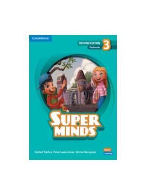 Super Minds 2ed Level 3 Flashcards British English