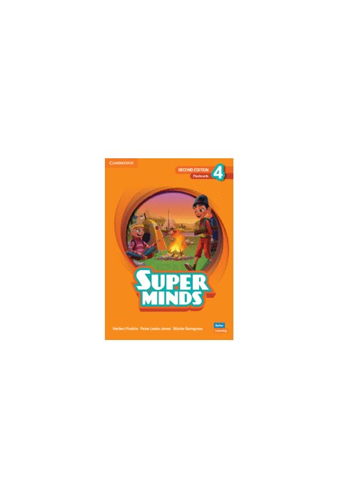 Super Minds 2ed Level 4 Flashcards British English