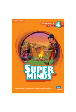 Super Minds 2ed Level 4 Flashcards British English