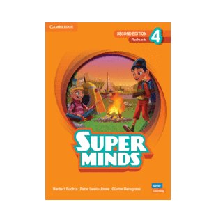 Super Minds 2ed Level 4 Flashcards British English