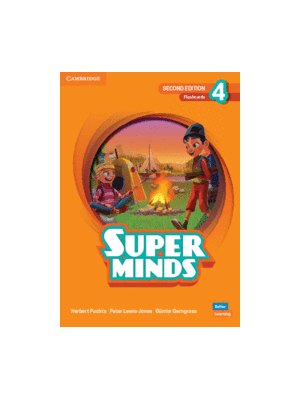 Super Minds 2ed Level 4 Flashcards British English