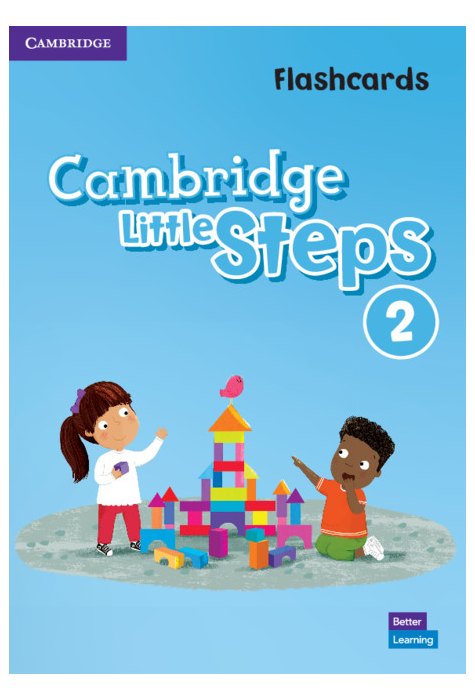 Cambridge Little Steps Level 2 Flashcards