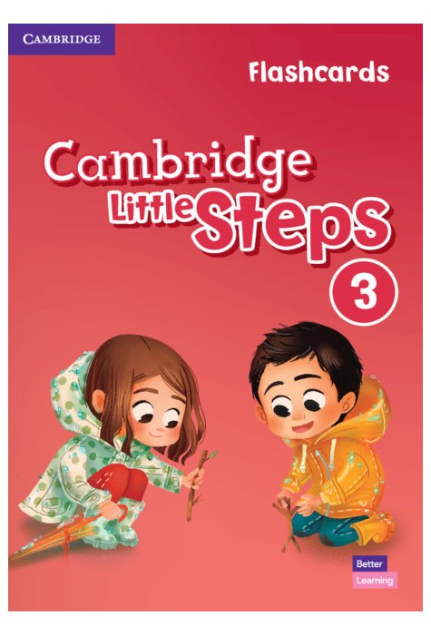 Cambridge Little Steps Level 3 Flashcards