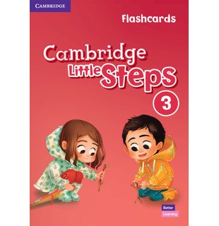 Cambridge Little Steps Level 3 Flashcards