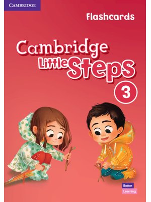 Cambridge Little Steps Level 3 Flashcards