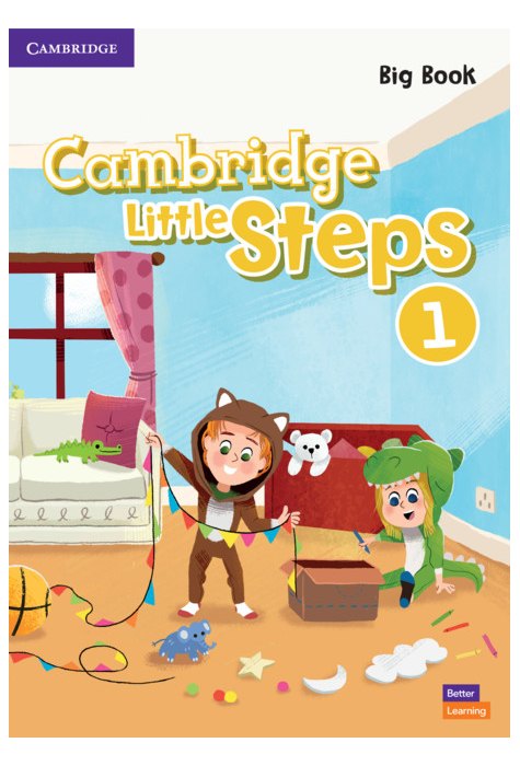 Little Steps Level 1 Big Book